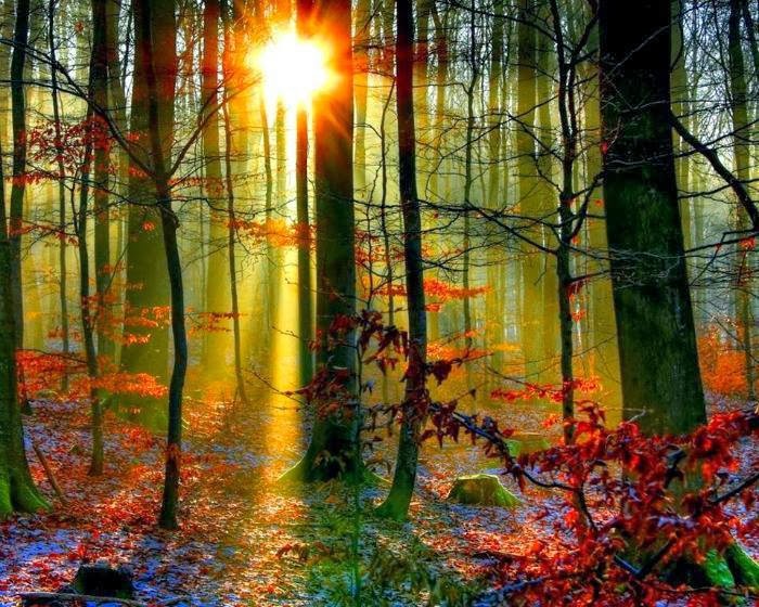 La Vida es una Ceremonia Sagrada!